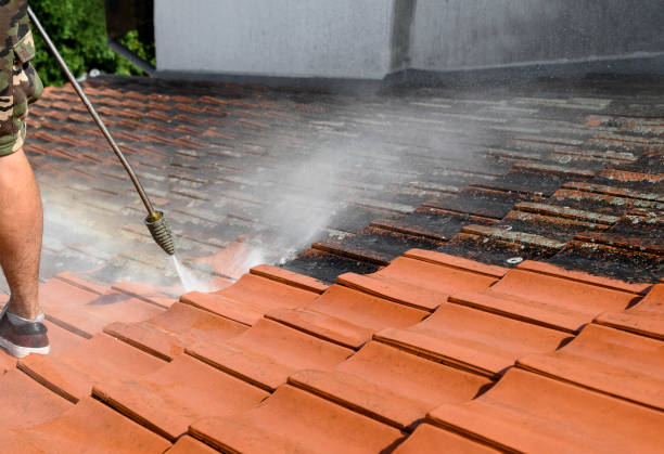 Best Roof Pressure Washing  in The Woodlands, TX