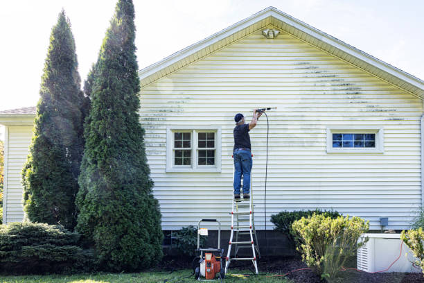 Best Local Pressure Washing Services  in The Woodlands, TX
